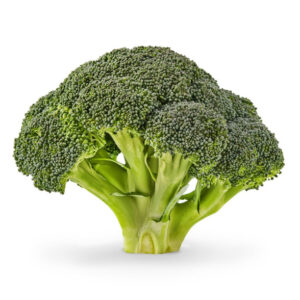 Fresh Brocoli